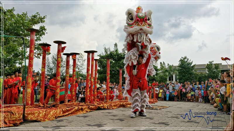 Come CNY, I always look forward to watching the lion dance show. Why lion dance? It's coz lion is said to bring good luck and drive away the bad luck and evil spirits. 