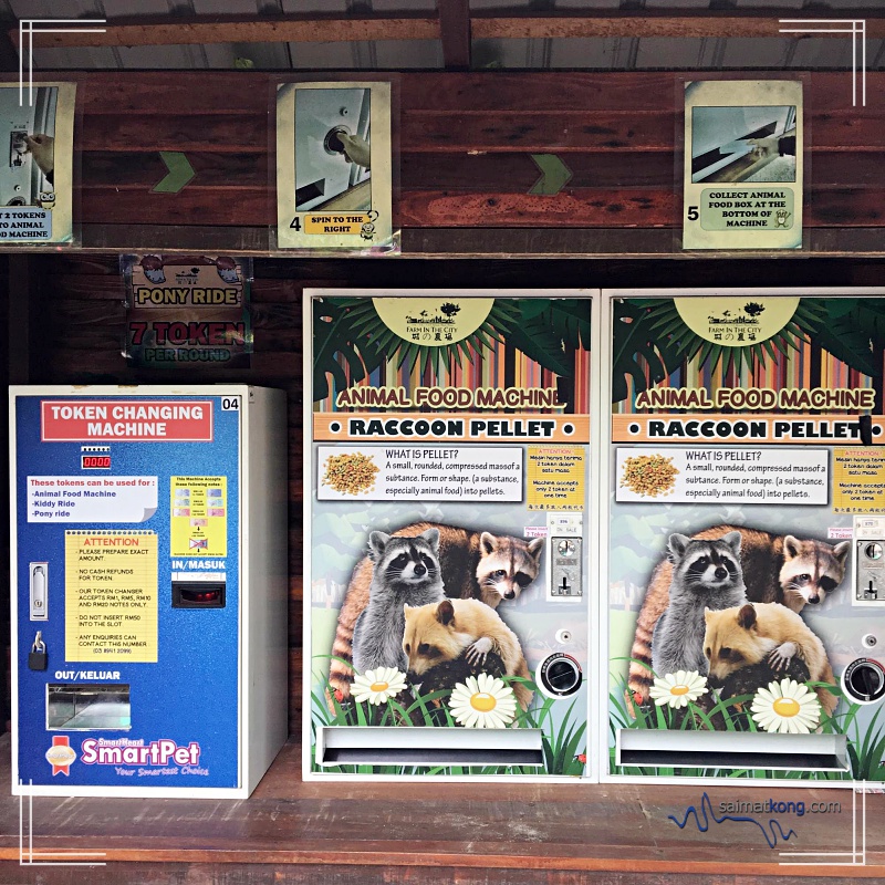 If you want to feed them, there's animal food machine where you can purchase raccoon pellet. Such a smart idea! 