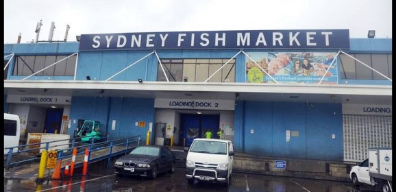 Sydney Fish Market @ Bank St Pyrmont, Sydney