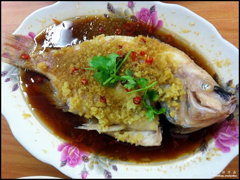 Restoran Yu Shifu 魚師傅清蒸金鳳魚 @ Bandar Puteri, Puchong : Steamed Tilapia 清蒸金鳳魚 (RM20)