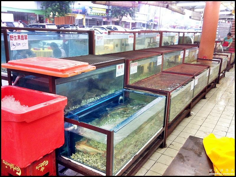 The restaurant has a few fish tanks to keep the fish fresh and alive.