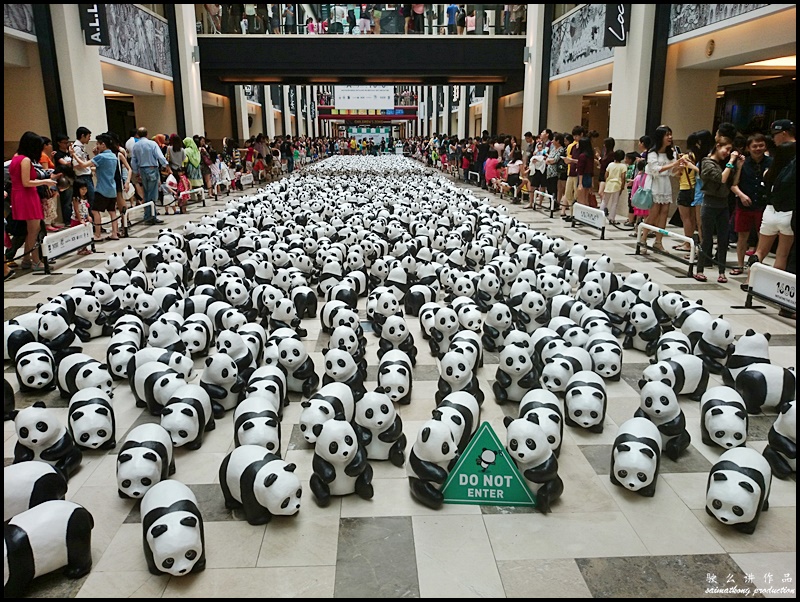 1600 Pandas World Tour @ Publika, Solaris Dutamas