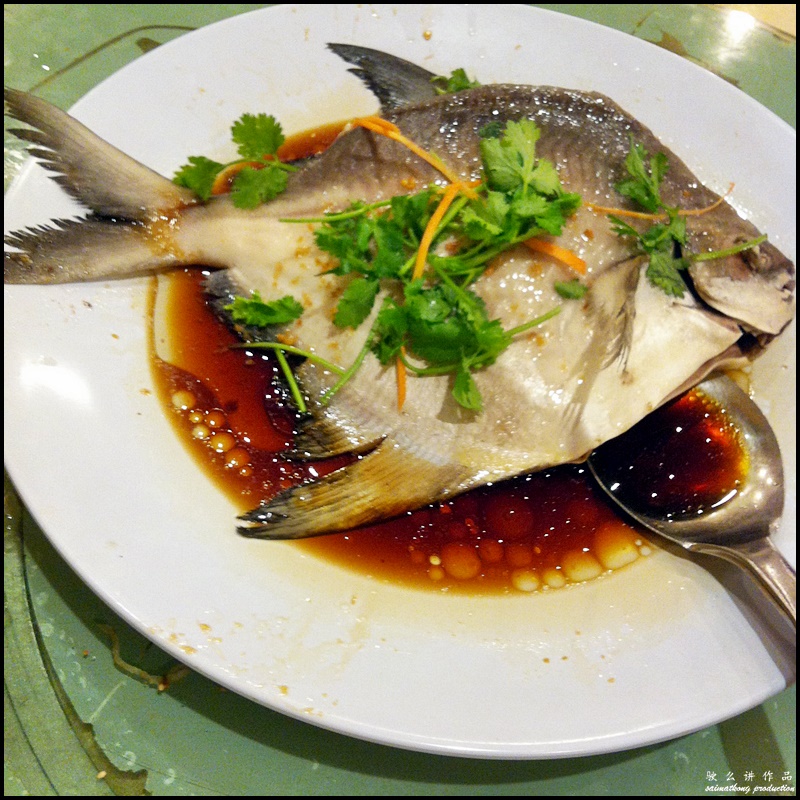 Chinese New Year 2015 Chor Yat Dinner @ Restoran Min Kok, Seremban : Steamed Pomfret Fish with Supreme Soya Sauce 年年慶有餘 (鯧魚)