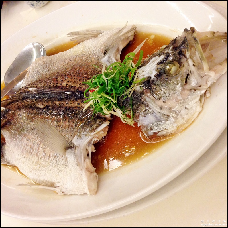 Chinese New Year 'Reunion Dinner @ Putien (莆田), 1 Utama Shopping Centre : Steamed Live Seabass