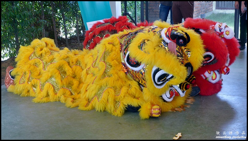 The red & yellow prosperity lions. Very 'ong'!!!