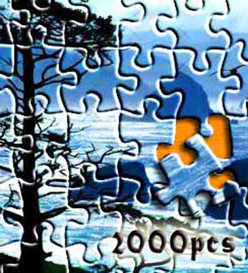 Personalized or Customized Puzzle