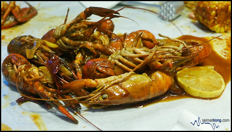 Crab Factory @ SS2 : Yummy yabbies!