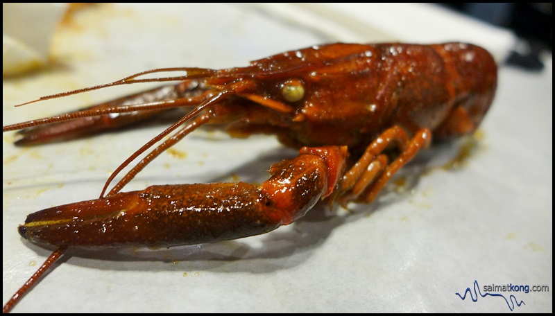 Crab Factory @ SS2 : Yummy yabbies!