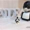ROBI – The Manglish Speaking Robot hits Malaysia