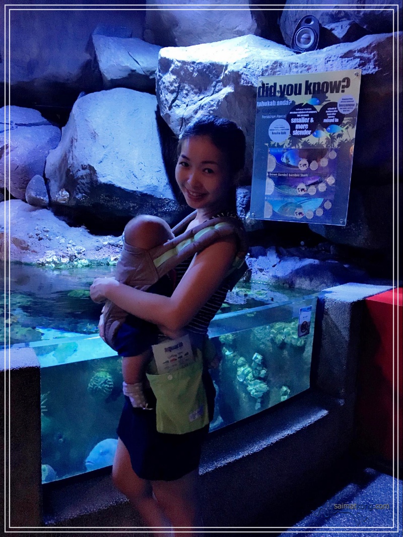 I went on a field trip with my family to Aquaria KLCC spending a whole day at KLCC sightseeing, shopping and eating.