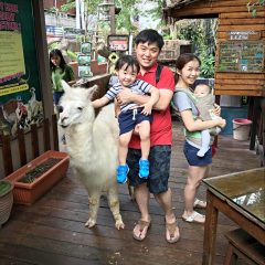 Fun Day with Animals @ KL Tower Mini Zoo