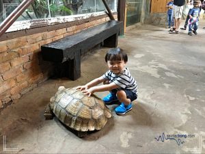 Fun Day with Animals @ KL Tower Mini Zoo - i'm saimatkong