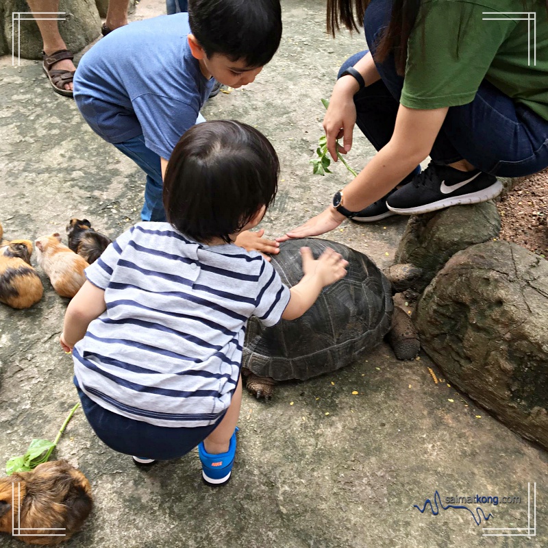 KL Tower Mini Zoo - Besides learning about animals, Aiden made some new friends there too :) 