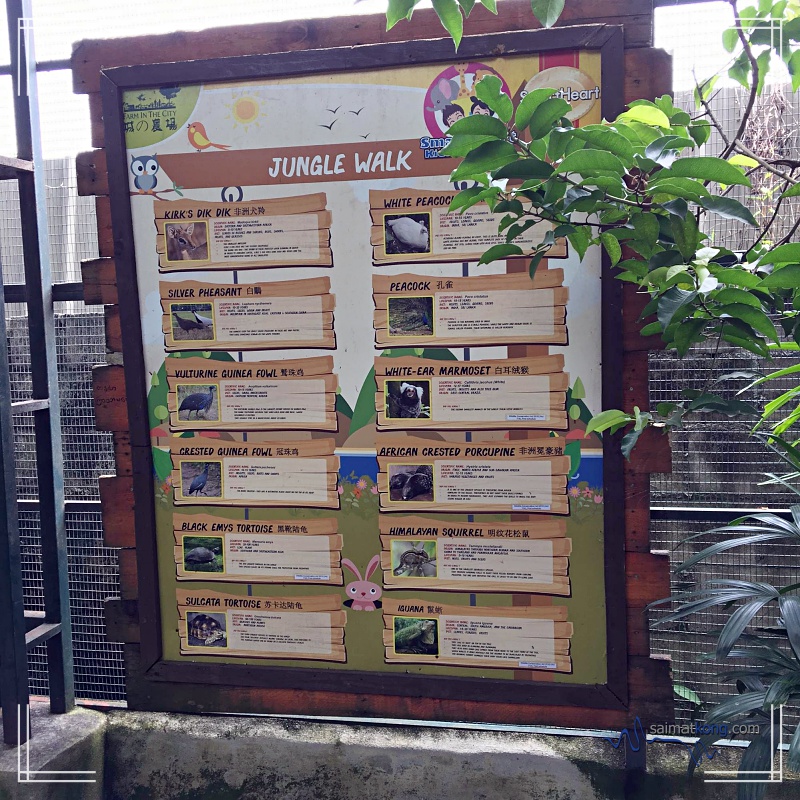 A Day With Animals @ Farm In The City 城の农场 - The types of creatures that you can see in Jungle Walk. You can refer to the chart for their names :) 