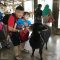 A Day With Animals @ Farm In The City 城の农场