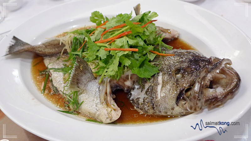 CNY 2018 @ Dynasty Restaurant, Renaissance - Steamed Live Grouper with Sliced Ginger & Chili