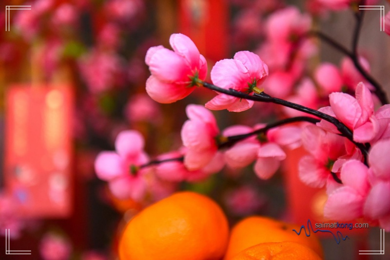 CNY Every Minute Matters with Panadol ActiFast - DECORATING WITH CNY DECORATIONS