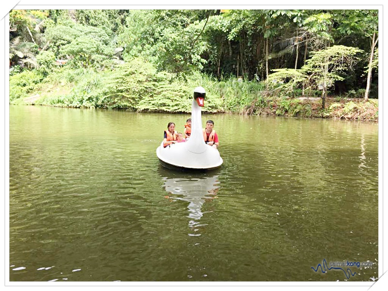 Fun Things To Do @ Lost World Of Tambun, Ipoh - We took a trip out on the Swan Lake in a swan pedal boat to enjoy the beautiful natural surroundings. 
