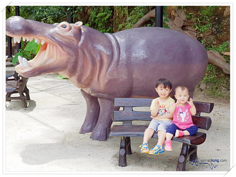Fun Things To Do @ Lost World Of Tambun, Ipoh - Next stop is hippo viewing at Hippo Kingdom. 