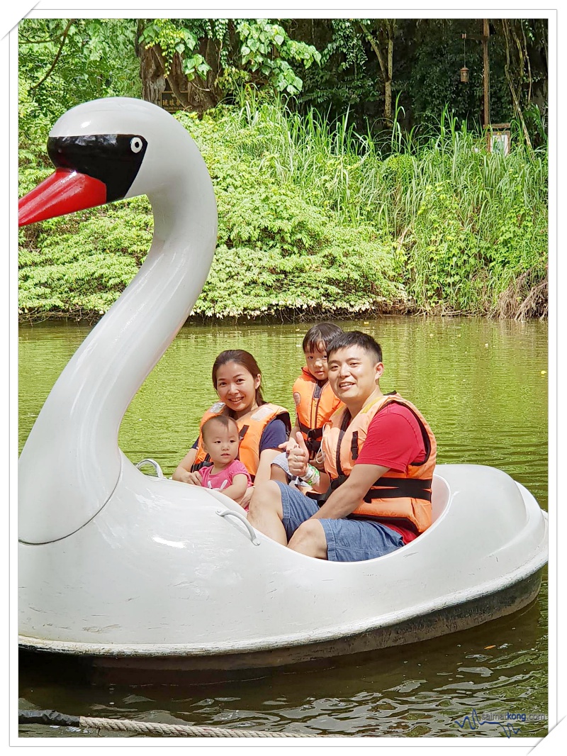 Fun Things To Do @ Lost World Of Tambun, Ipoh - We took a trip out on the Swan Lake in a swan pedal boat to enjoy the beautiful natural surroundings. 