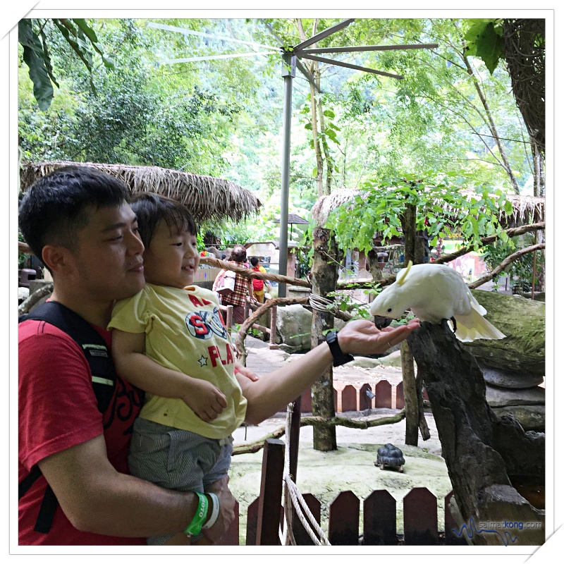 Fun Things To Do @ Lost World Of Tambun, Ipoh - Petting Zoon: Among the animals that you can see here are raccoons, hamsters, porcupines, rabbits, tortoises, parrots, zebra, ostrich and more!
