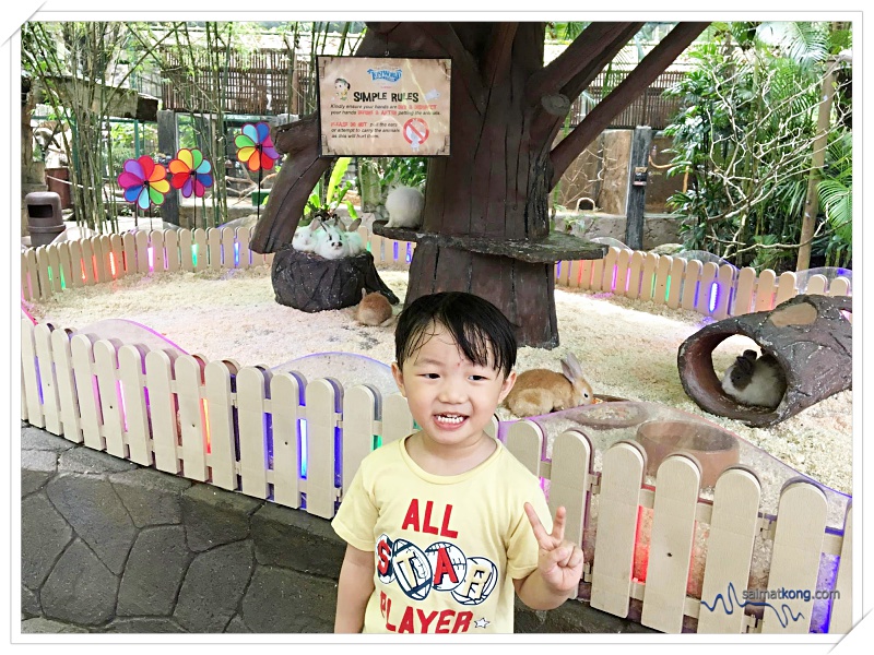 Fun Things To Do @ Lost World Of Tambun, Ipoh - Petting Zoon: Among the animals that you can see here are raccoons, hamsters, porcupines, rabbits, tortoises, parrots, zebra, ostrich and more!