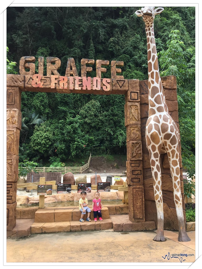 Ipoh Trip 2018 - Fun Things To Do in Ipoh - One of our favorite attractions at the Petting Zoo is Giraffe & Friends where Aiden gets to feed Rain the Giraffe. It was such a good learning experience for him.