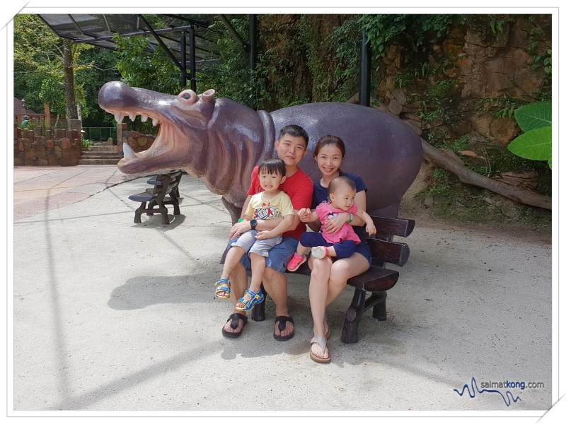 Ipoh Trip 2018 - Fun Things To Do in Ipoh - Our family photo @ Hippo Kingdom. We get to meet Juwita The Hippo as she gracefully submerge into the water. 