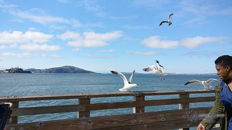 San Francisco is undoubtedly one of the most beautiful cities in the United States. Visited Pier 39, Fisherman’s Wharf and Chinatown which is the largest Chinatown outside of Asia.