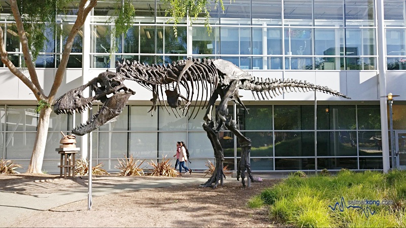  “The Googleplex”, Google headquarters in Mountain View, California : Stan the T-Rex