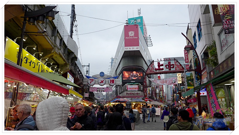 Tokyo Trip Itinerary & Highlights (Part 2) - Ueno’s Ameyoko is one of Tokyo’s famous shopping street with plenty of shops and many interesting things to shop. It’s a very lively shopping street.