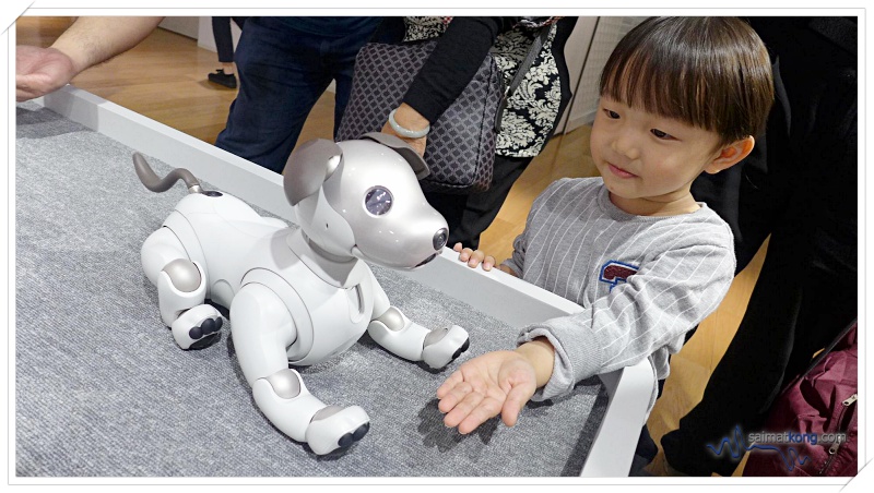 Tokyo Trip Itinerary & Highlights (Part 2) - Aiden is so in love with Sony’s Robot Dog Aibo. It’s so lovable and smart (it’s loaded with AI) and can perform many different tricks that will melt your heart. It’s so cute that you’ll feel like bringing it home. 