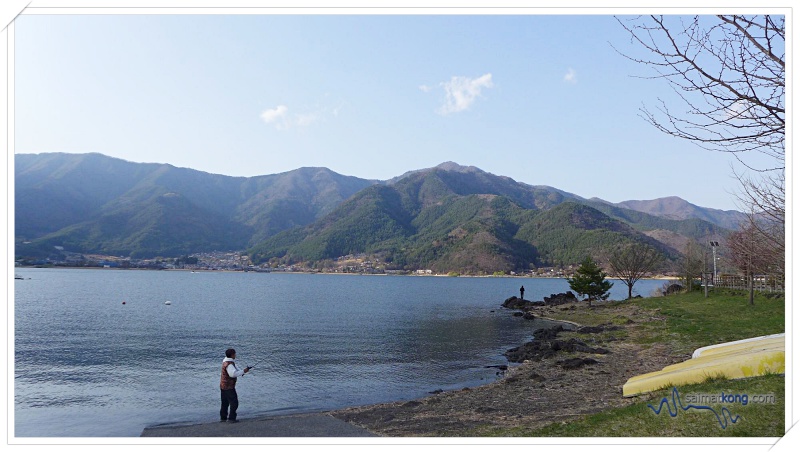 Tokyo Trip 2018 Highlights & Itinerary (Part 1) - Lake Kawaguchiko is a great place for sakura viewing. It’s a beautiful place for cherry blossoms viewing spots in Tokyo.