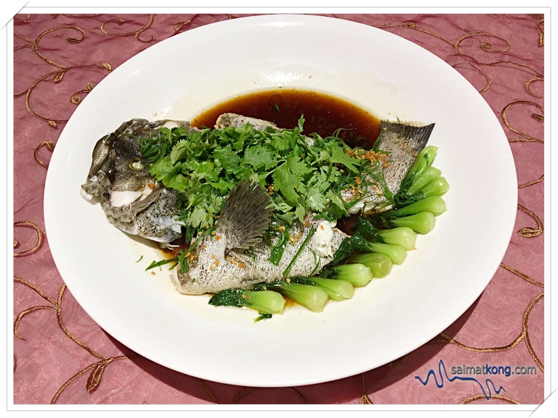 Auspicious Lunar New Year Feast at Dynasty Restaurant, Renaissance Kuala Lumpur Hotel- Steamed Live Sea Grouper in Premium Homemade Soy Sauce 