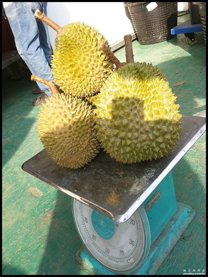 Musang King Durian 猫山王榴莲