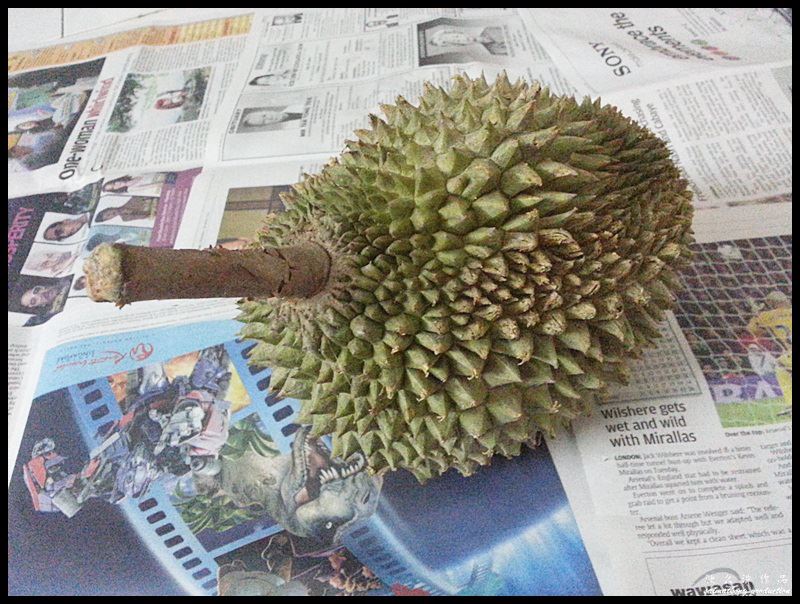 The shape of Musang King is never round. It