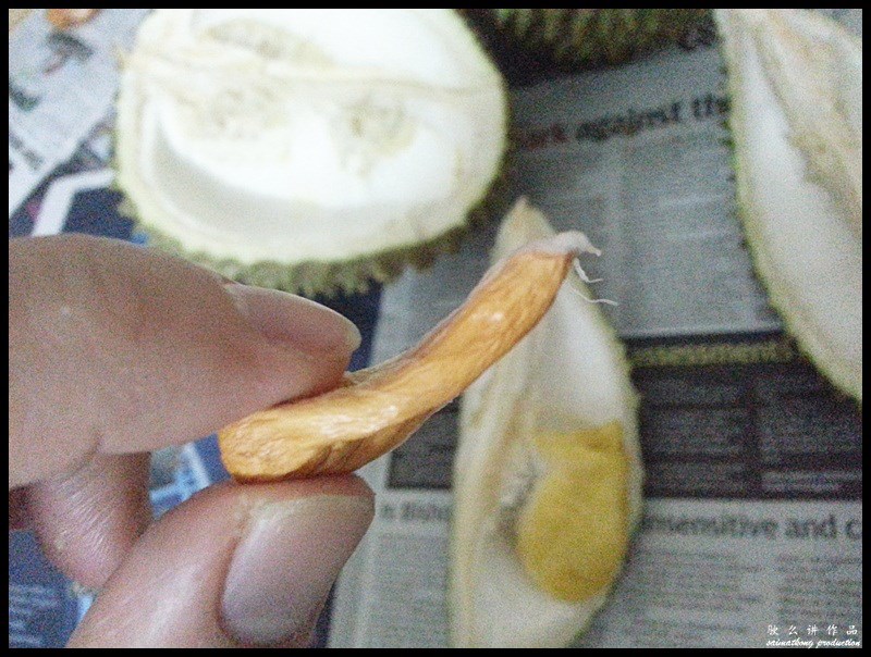 Musang King has very thick flesh in bright yellow colour with small tiny seeds. The seeds are small, oddly shaped and flat.