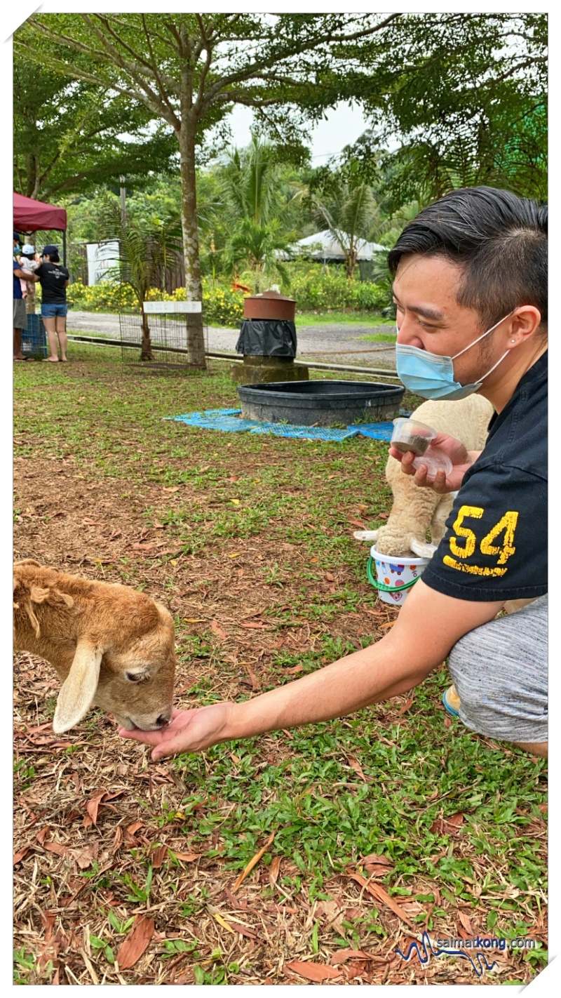 Fun Farm Experience at Merchant logo Aves World 农的传人 in Semenyih Eco Venture