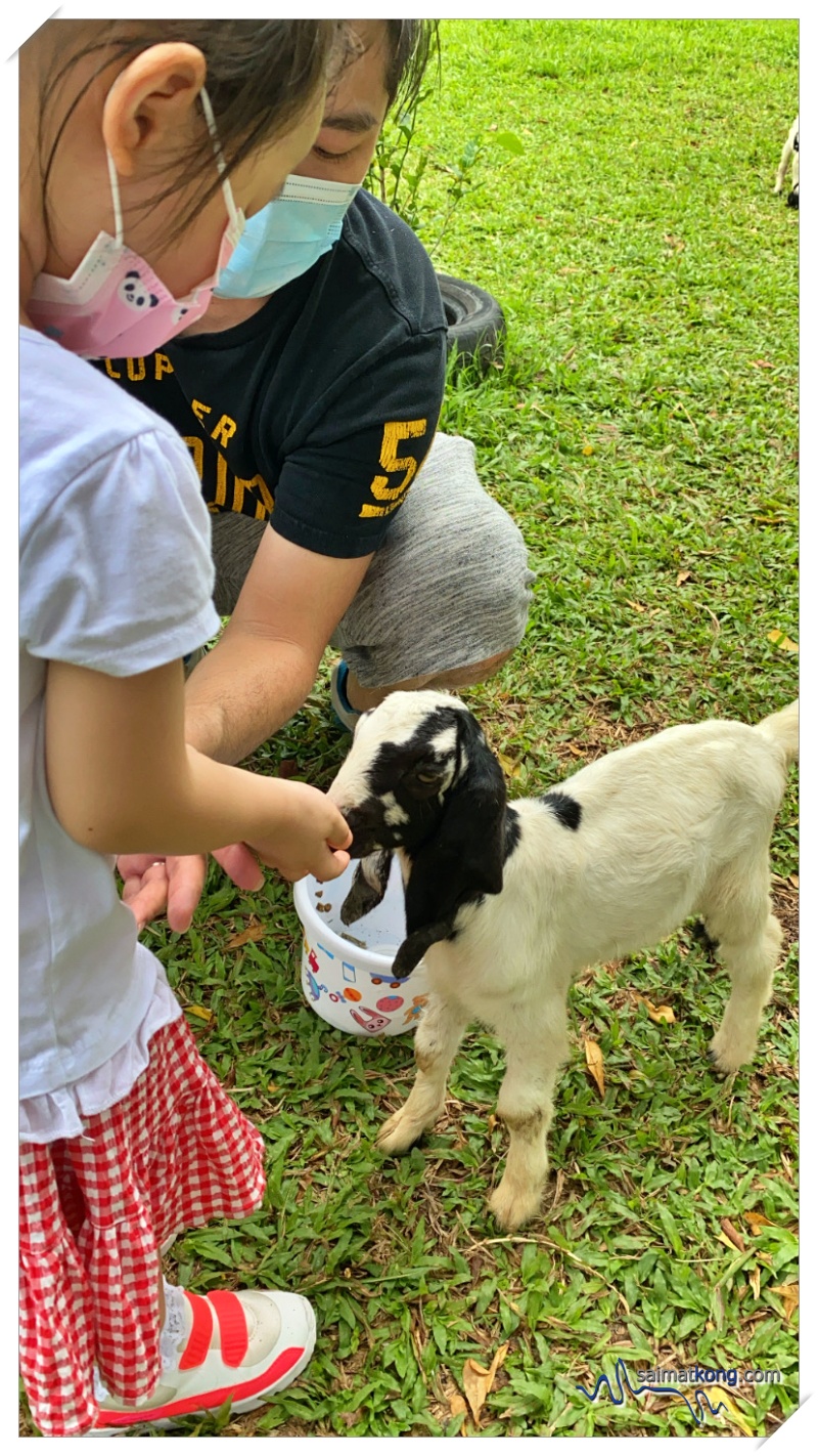 Feeding one of the twin kids called Kiki. 