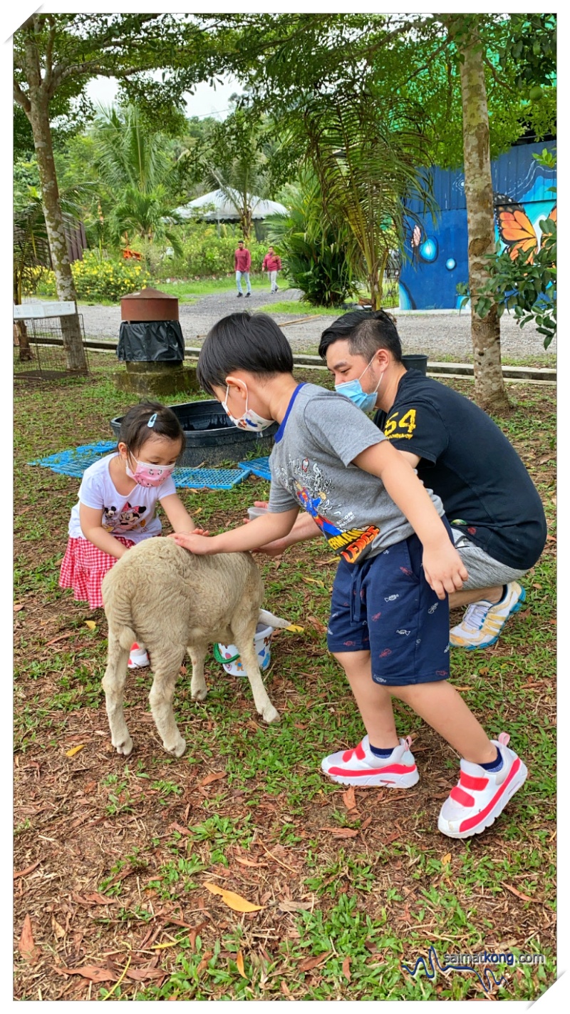 Fun Farm Experience at Merchant logo Aves World 农的传人 in Semenyih Eco Venture