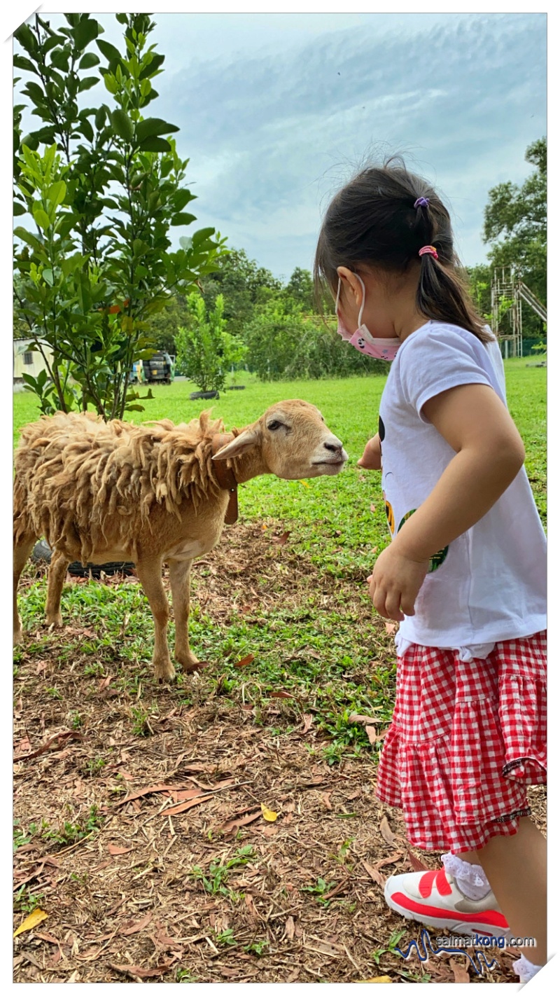 Fun Farm Experience at Merchant logo Aves World 农的传人 in Semenyih Eco Venture