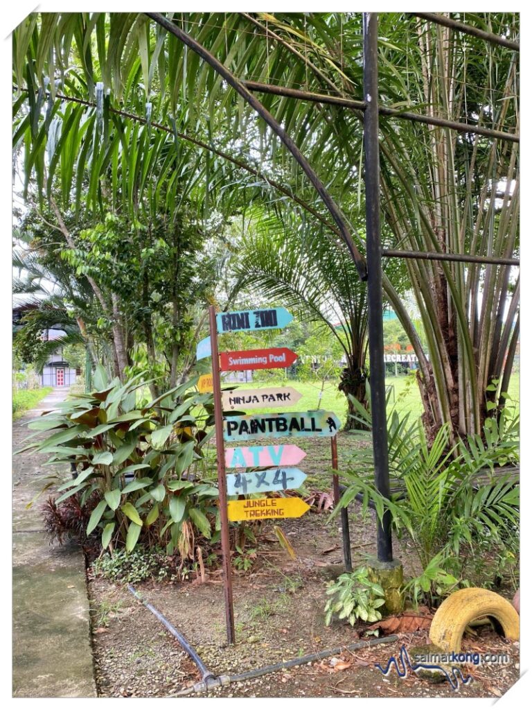 Besides petting zoo, there are many other fun activities at Aves World such as paintball, paintball war game, ATV, archery, flying fox, wall climbing, swimming, kayaking and cycling.