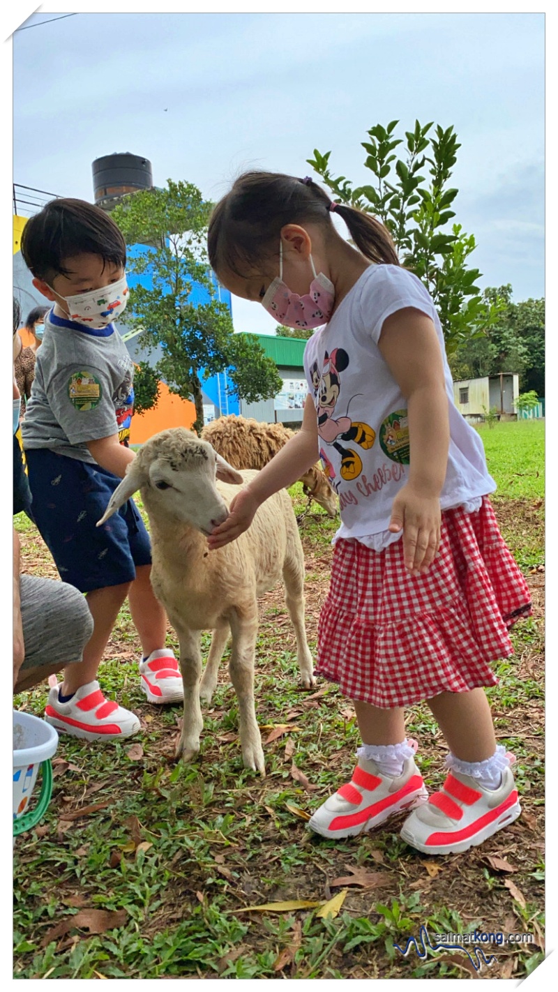 Fun Farm Experience at Merchant logo Aves World 农的传人 in Semenyih Eco Venture