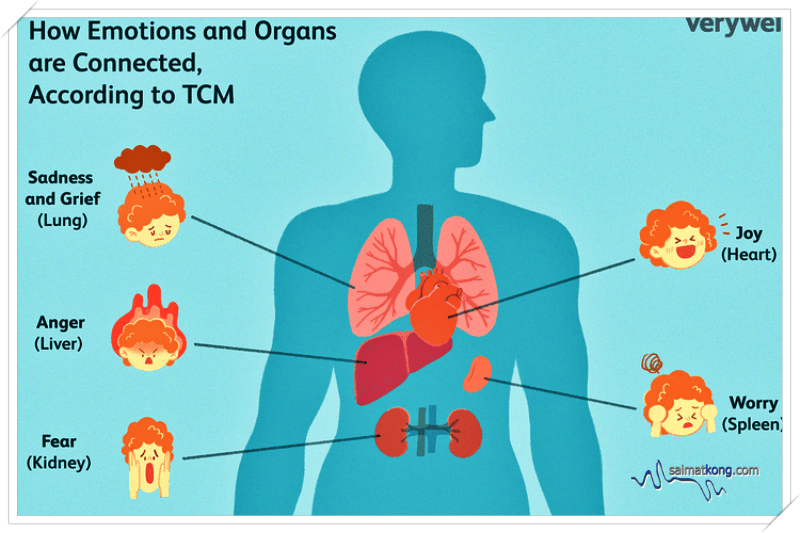 To TCM, emotions and organs are connected