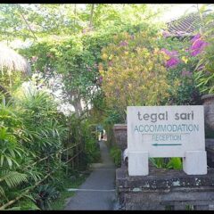 Tegal Sari Accomodation @ Ubud, Bali